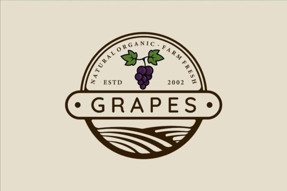 Download Grapes Logo Line Art Vintage Vector - Premium Resources